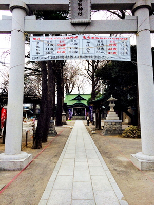image (1).jpg