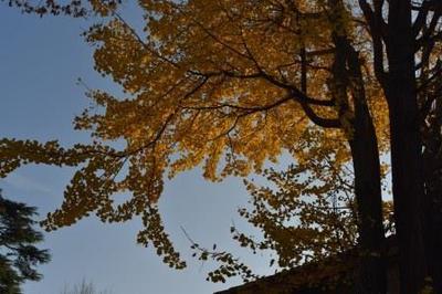DSC_0486.jpg