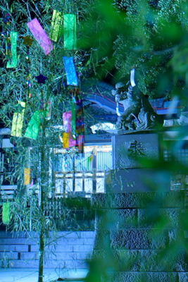 七夕夜.jpg