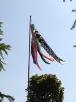 koinobori.jpg